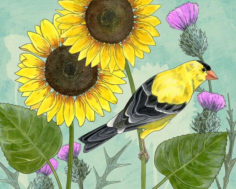 Goldfinch and Sunflowers