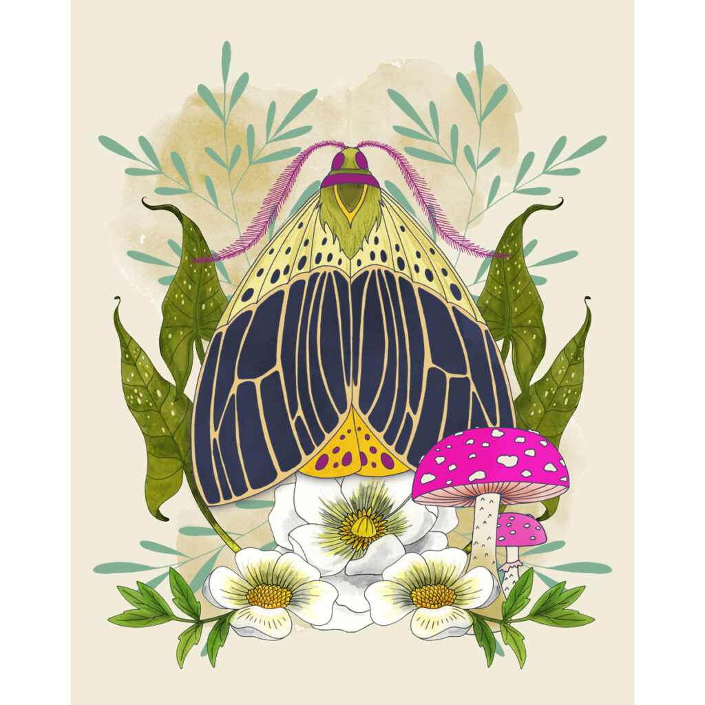 Graphic illustration of a whimsical blue and yellow moth surrounded by arrowhead leaves, white flowers, and hot pink mushrooms
