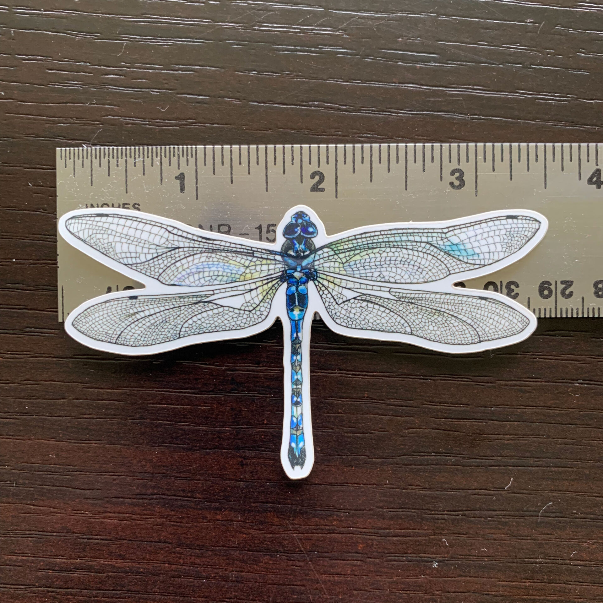 Dragonfly Hood Decals for Women, Vinyl Stickers Dragonfly by Artstudio54 