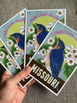 A hand holding several vintage-style illustrated Missouri state bird postcards
