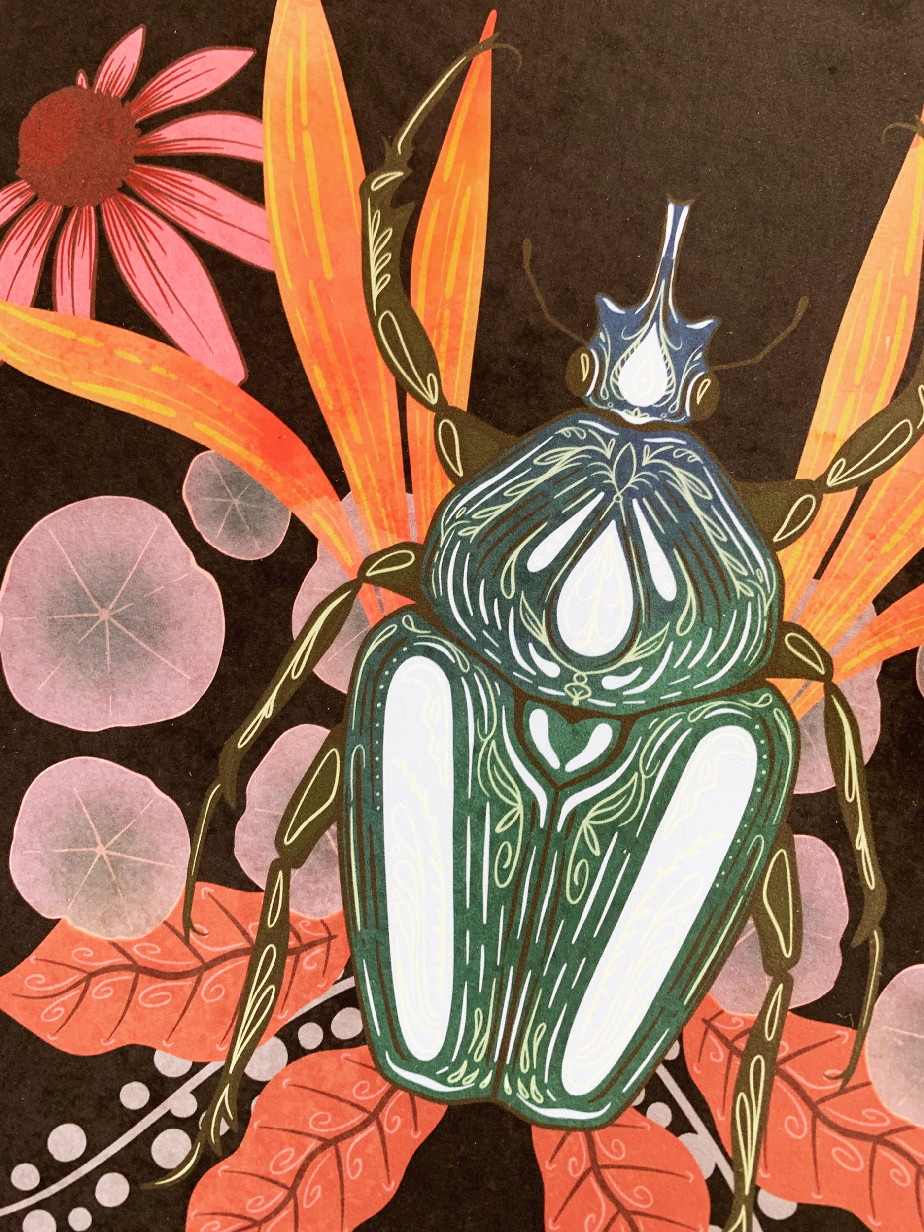 Retro Insects Washi Tape 20mm Rolls - Melissa Washburn - Illustration +  Design