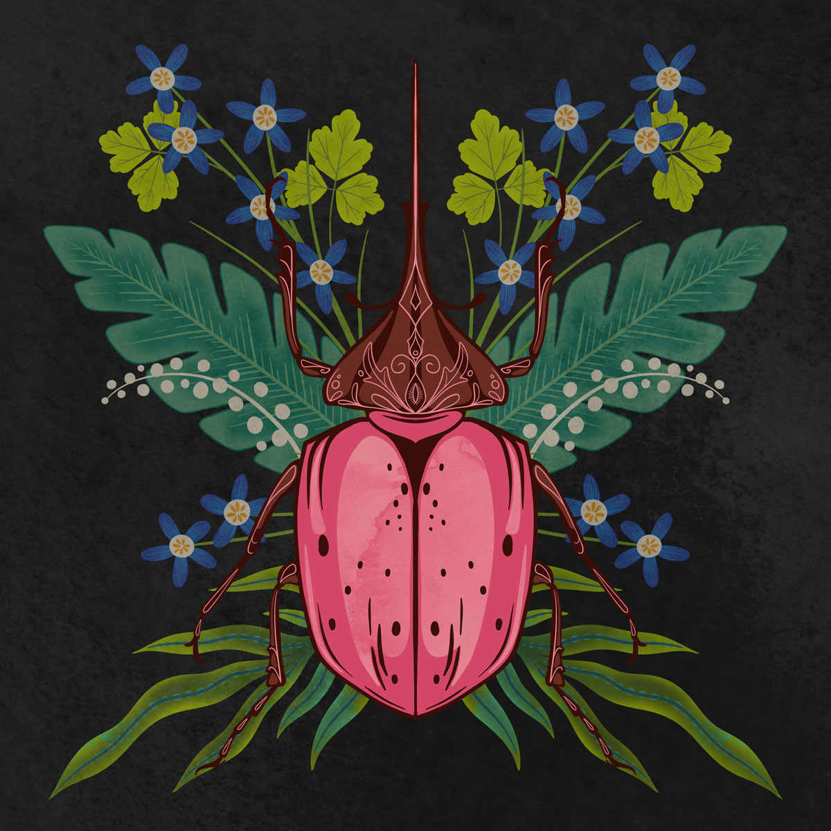 Pink Dynastid Beetle - Melissa Washburn - Illustration + Design