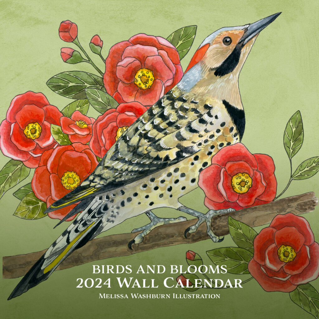 2024 Birds and Blooms Wall Calendar Melissa Washburn Illustration