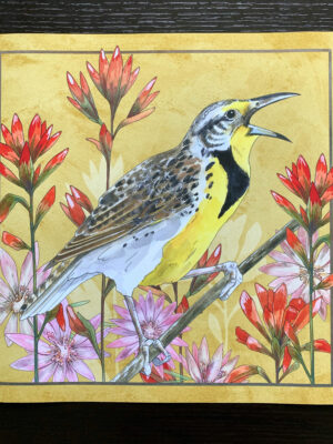 Western meadowlark and wildflowers illustration