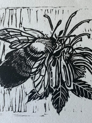 a black linoleum block print of a rusty patched bumblebee on a bee balm blossom
