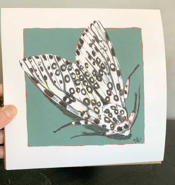 Hand holding an 8x8" art print of a leopard moth on a green background